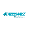 Logotip 4Endurance