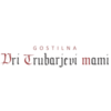 Logotip Gostilna pri Trubarjevi mami